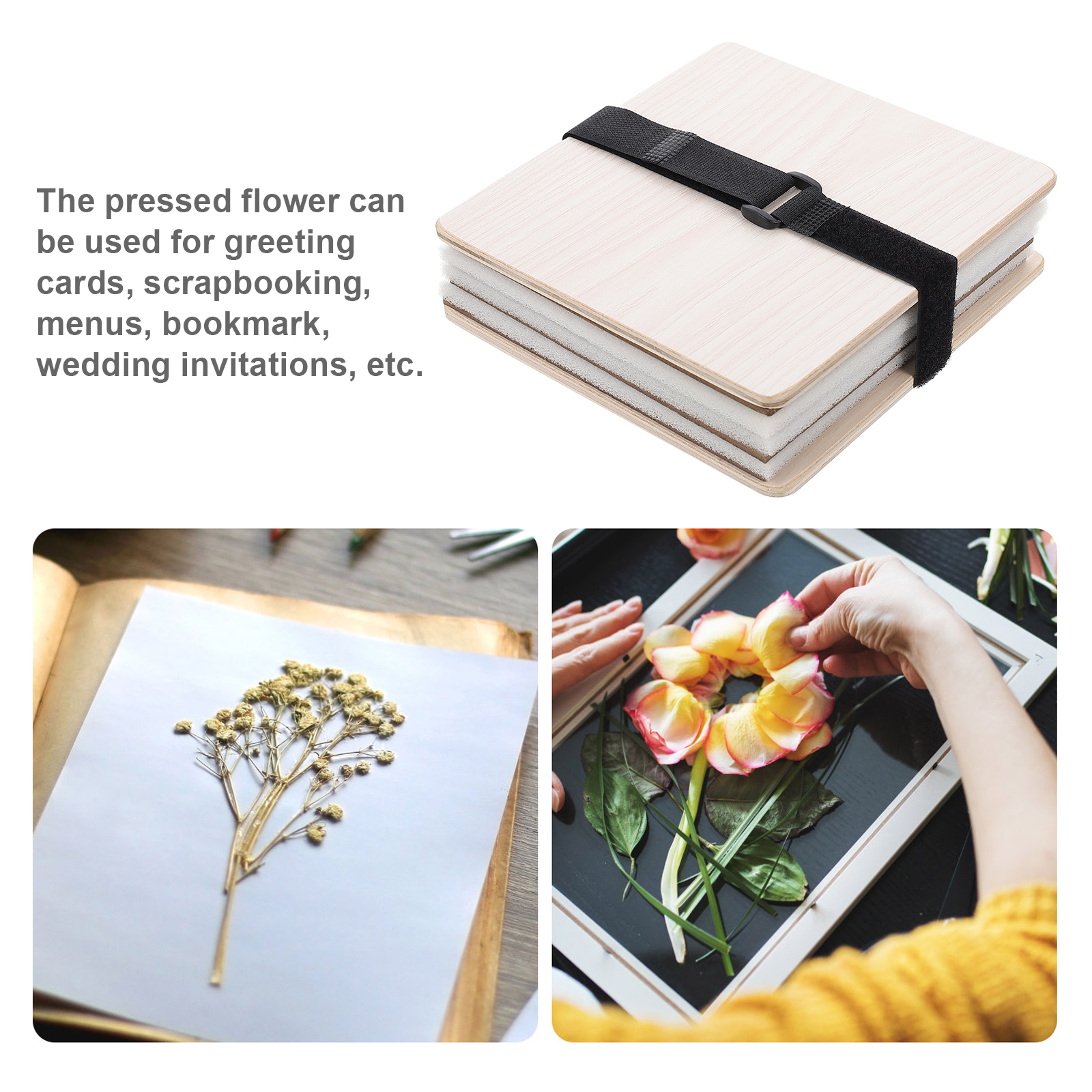 1 set Flower Press Kit Plant L – обзор и цена Ink Blotter Paper